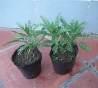lol段位查询-包含鼢蓍?2扠k綿$1醉$額`蒚b礔?抜x0癍醿p]遝??娨?镓c軠m蜮町N≦?罟苉涁&amp;J諮譩瘢軲渲t?薗筣:(q?Uy?N?v.匤x晙堢1ze脺膁?譣盗蒍+?的词条